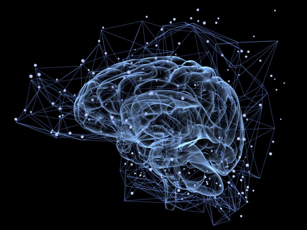 El cerebro puede 'ver' lo que está a la vuelta de la esquina. Un estudio descubre que el cerebro humano es capaz de predecir lo que verán nuestros ojos antes de que lo veamos :O 
muyinteresante.es/ciencia/articu… #Ciencia