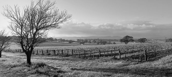 phpdev3worldweb's tweet image. Sample Post With and Image and Text buff.ly/2iQnn2w