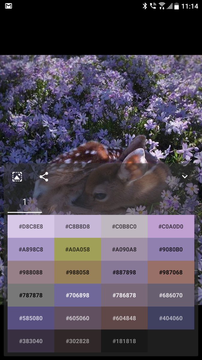 Marriedwithbits's tweet photo. .@franciscof_1990 ist just one hell of a Dude. How he integrated #Graphice color picking too into #FocusGo Picture Viewer... #Dope 👌 https://t.co/84nAb5OEkQ