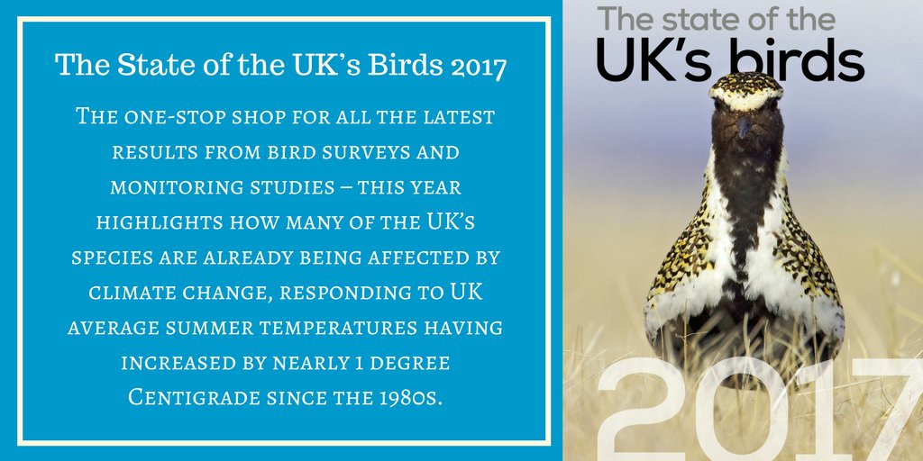 WWTworldwide's tweet photo. Out now, 'The State of the UK's Birds Report 2017' reveals the effect of a changing climate on UK’s birds > https://t.co/aJ0Wa5kiYd #SUKB https://t.co/7nB3q4aGS3