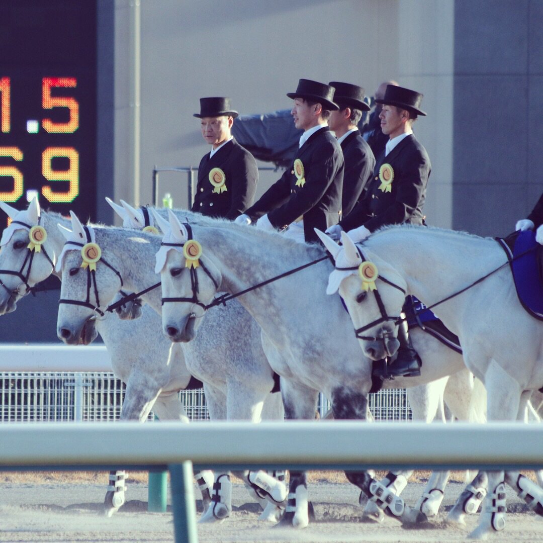 Whytrophy's tweet image. JRA中京競馬場で行われたG1レース「チャンピオンズカップ」のロゼットを企画・製作しました。今年2つ目のG1制覇となったゴールドドリームの末脚と、ライアン・ムーア騎手の手腕が光るレースでした。
#championscup
#チャンピオンズカップ 
#中京競馬場
#ゴールドドリーム 
#ライアンムーア 
#whytrophy