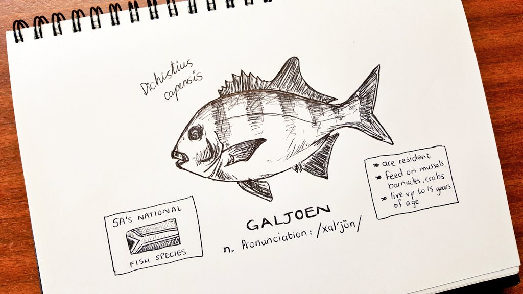 South African National Fish