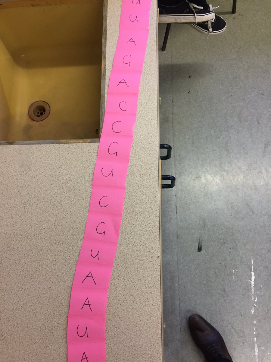 iRoyalscience's tweet image. Transcription and Translation with Higher Human #Introns #Exons #FullyCoded @IrvineRoyalAcad