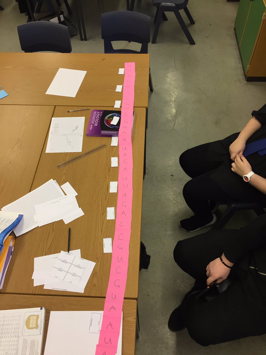 iRoyalscience's tweet image. Transcription and Translation with Higher Human #Introns #Exons #FullyCoded @IrvineRoyalAcad