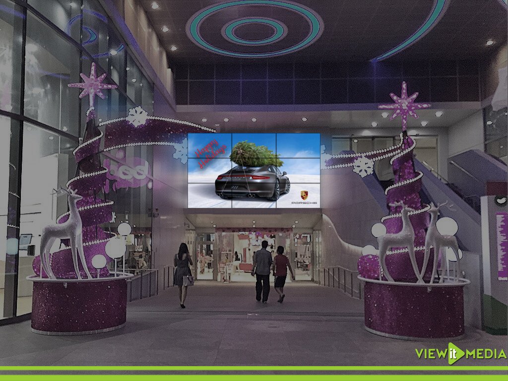 download Plant Growth download
