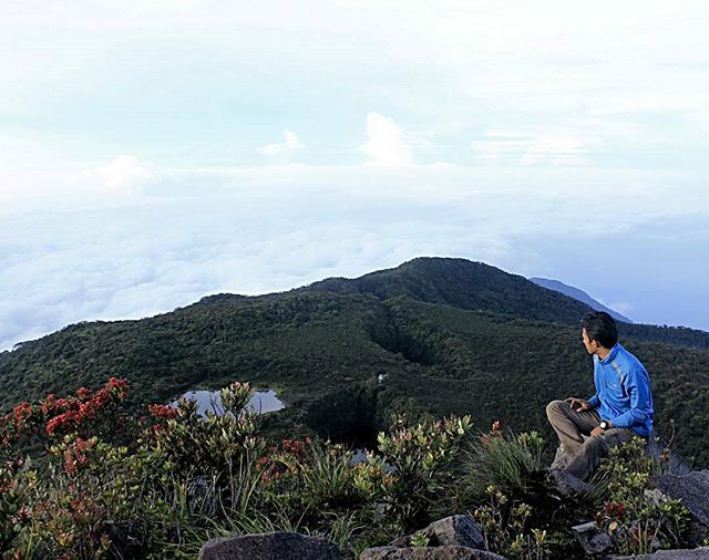 Hasil gambar untuk talamau