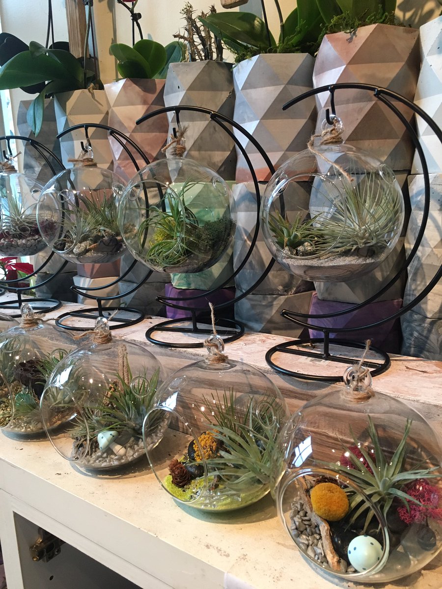 Sunnyflorists's tweet photo. Ready for an evening of shopping &amp; Champagne? Come see us at @YOTEL_Boston’s #holiday boutique Dec. 7 at 6pm. We'll have wreath, succulent, holiday floral design and much more https://t.co/6Ra39Ksw4z