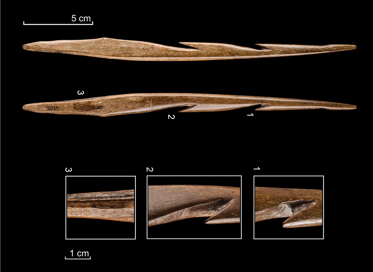 AntiquityJ's tweet photo. #TuesdayThoughts ⏰ runs out for our 🆓 Oct. #archaeology articles!
➡️ https://t.co/JRKuPjkH8Y
Late #Neolithic timescape of #Orkney
Hafting with 🐝🐝wax in the Final #Palaeolithic
Afterlife of #Egyptian statues
#Textile cultures of 🇮🇹 & 🇬🇷
Glass & stoneware #knapped tools https://t.co/1WpsISDYoR