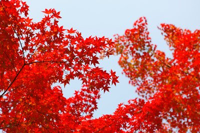 I Am Dim (@iamdim2) on Twitter photo Photo By Daniel Kim | Unsplash - via <a href="/Crowdfire/">Crowdfire - Social Media Management tool</a>
#socialmedia #news&media Photo By Daniel Kim | Unsplash - via <a href="/Crowdfire/">Crowdfire - Social Media Management tool</a>
#socialmedia #news&media