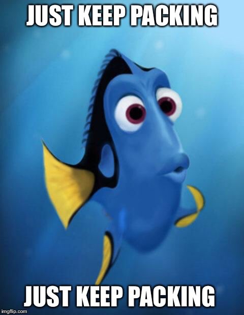 Tomas James Parker (@thetomasparker) on Twitter photo 