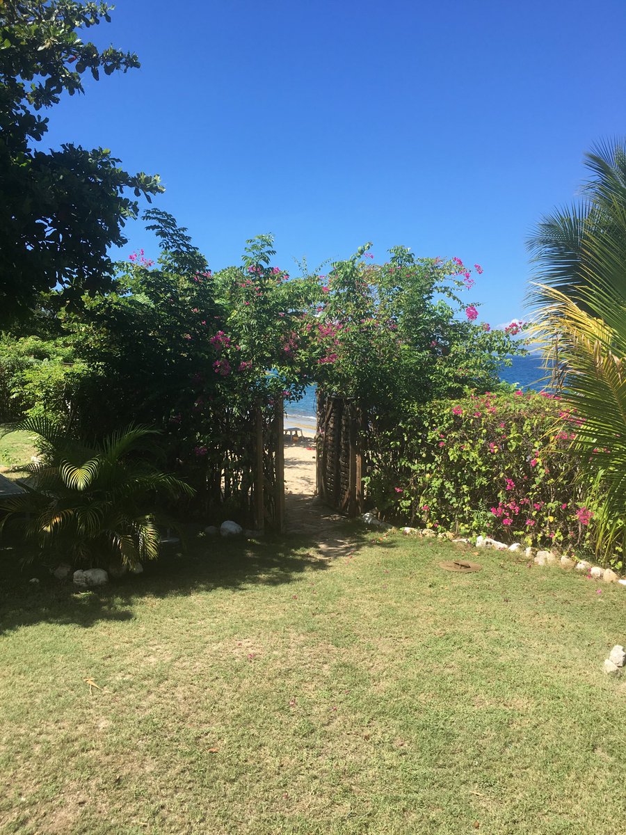 Christess18's tweet photo. 💙Ur country!! #Nourishurenvironment #makepositiveimpact #beproductive #makeadifference #Haiti https://t.co/Kptw1JuXwr