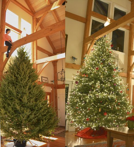 TimberpegTF's tweet image. Just think, if you build a Timberpeg home you won't even need a ladder to put the angel on top of your tree ;)