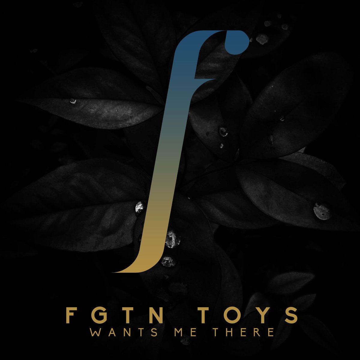 FGTN Toys – Wants Me There is now a Free Download via Our Soundcloud - fracturerecordings.co.uk/blog/fgtn-toys… #BlogPost
