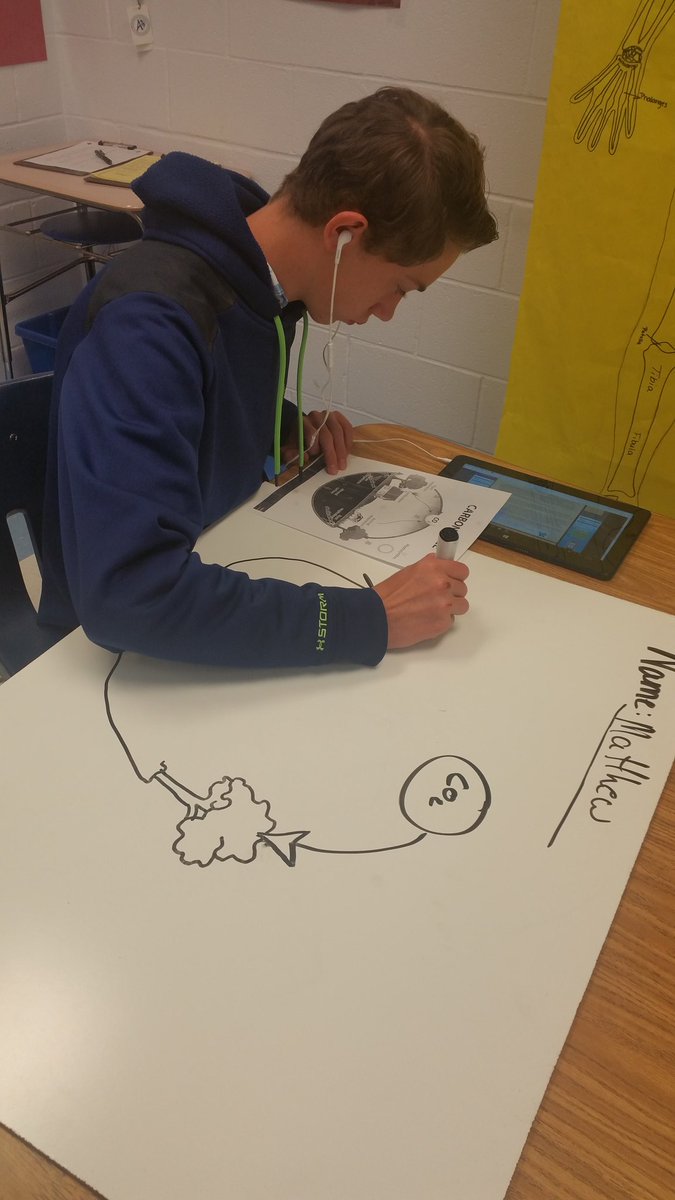 krob5570's tweet photo. Drawing the carbon cycle on white boards in Biology class. #ahsliteracy https://t.co/l7JIlg307v