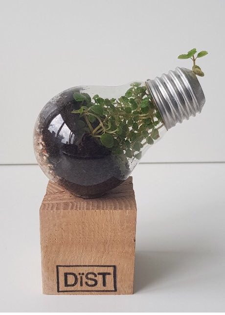 nowastedesign's tweet image. Bedankt @TUHelmond 
#groeilampjes @nowastedesign