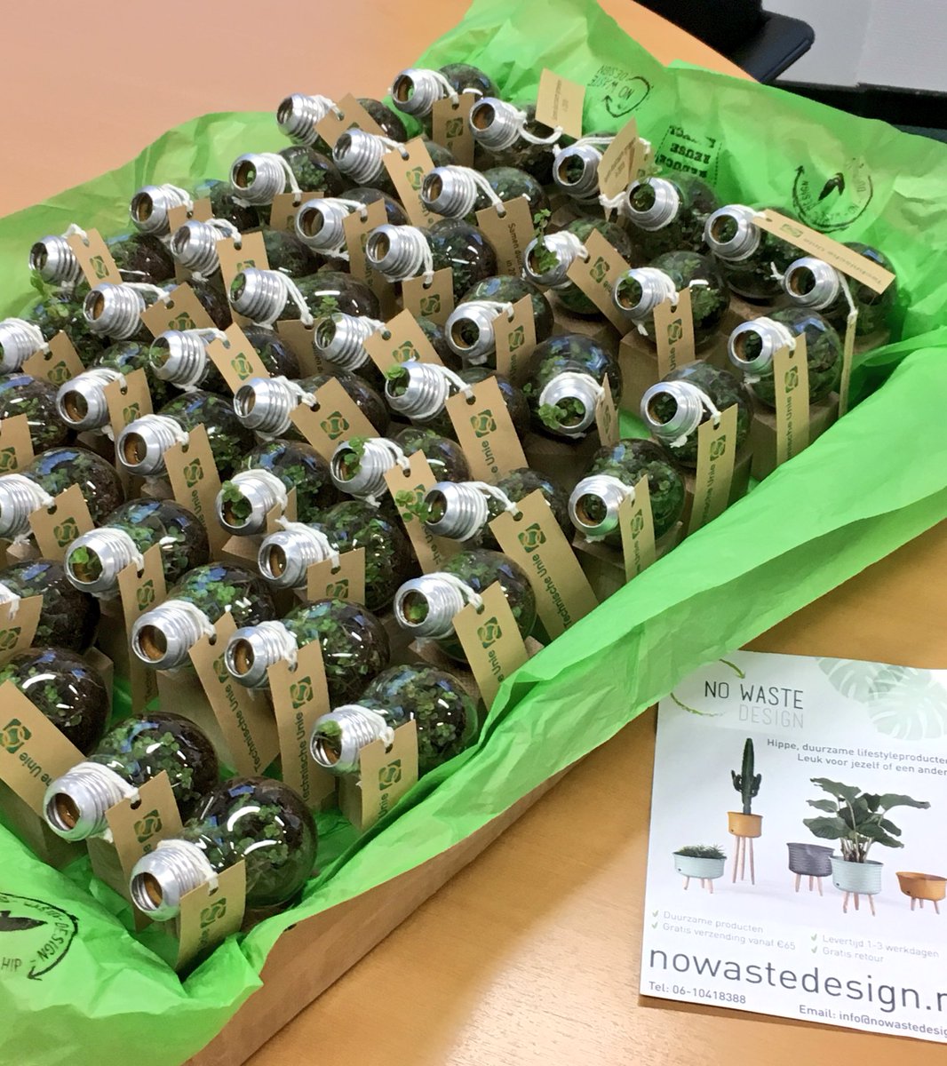 nowastedesign's tweet image. Bedankt @TUHelmond 
#groeilampjes @nowastedesign