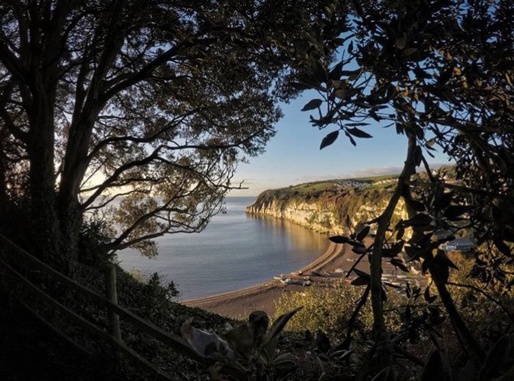 thedevonnetwork's tweet image. When’s the last time you visited Beer? 🍺 such a beautiful place. #devon #devonlife #visitdevon #swisbest #lovedevon