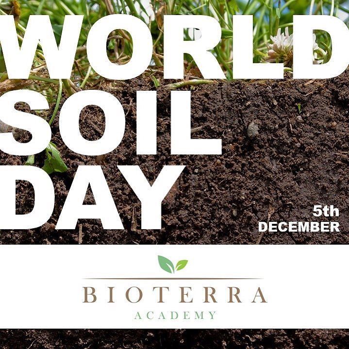 DECEMBER 5th – ⛰WORLD SOIL DAY⛰
Regenerating soil is the task of our generation. And its also our mission with our 🌿Bioterra Academy!🌿
The most powerful solution to many environmental challenges we will have in the next few years is literally right u… ift.tt/2A7cnp3