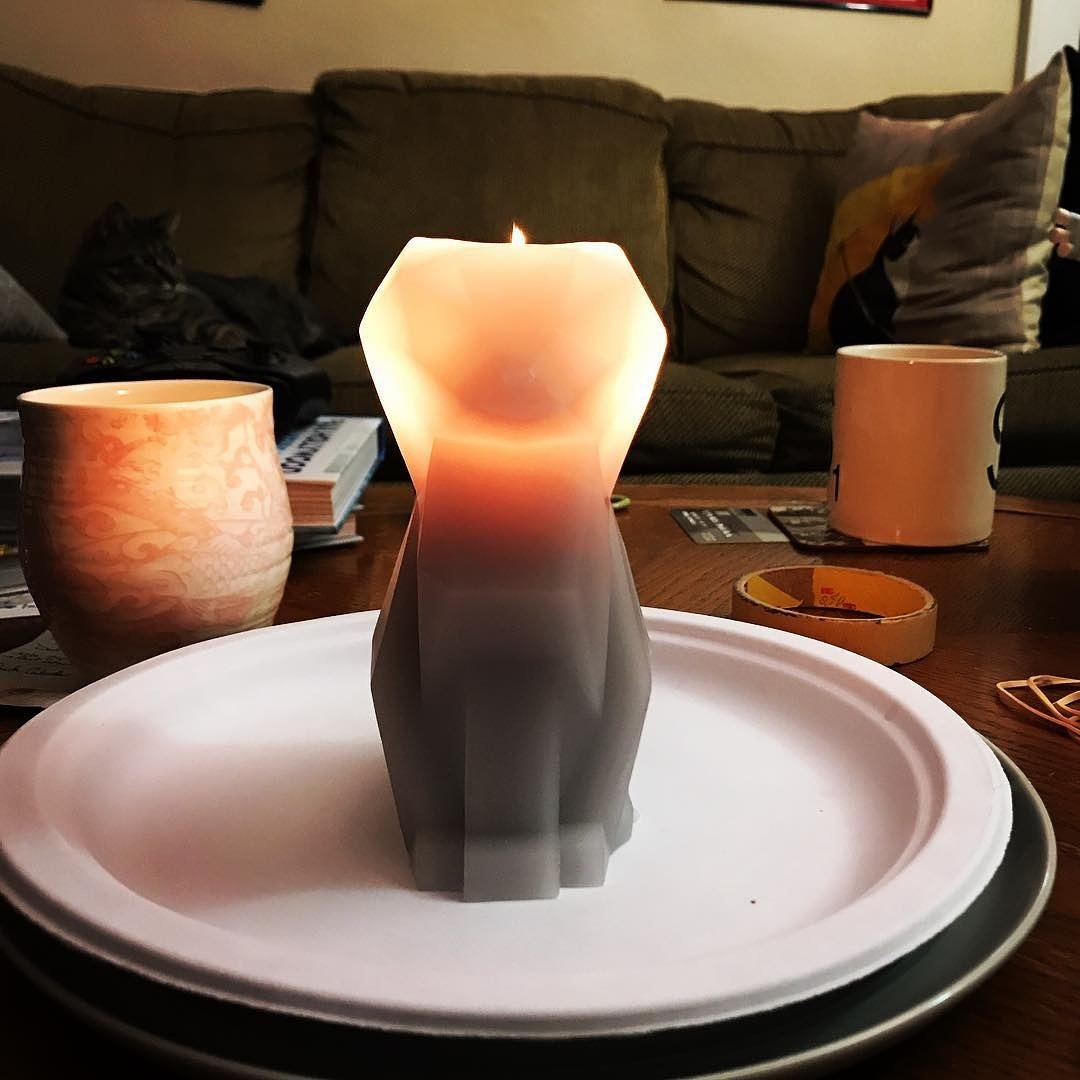 PyroPetCandles's tweet image. Our grey Kisa #candle begins its spooky transformation. 🐈💀
📸Livlifequinn
PyropetCandles.com #skeletoncandles #cat #gifts #Christmas