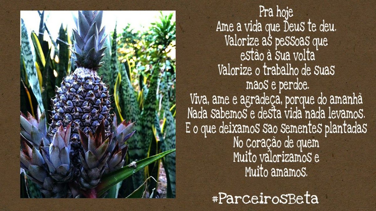 <a href="/ParceirosBeta/">#PARCEIROSBETA OFICI</a> 
#ParceirosBeta