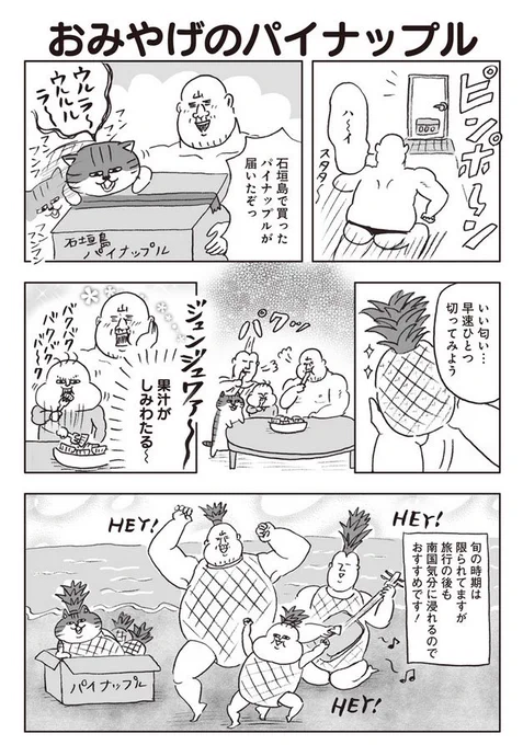 ふんわりジャンプの連載漫画『ヒゲ母ちゃんと娘さん』第69話、更新されています。石垣島旅行編はこれで完結です。最終日にお買い物に行った時のことなどを描きました。宜しくお願い致します!単行本3巻が12/19に出ます! 