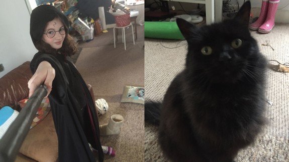 10-year-old girl interviews her cat, cat turns out to be a diva #Dublin #Ireland #PaulDuane follownews.com/3u3z9