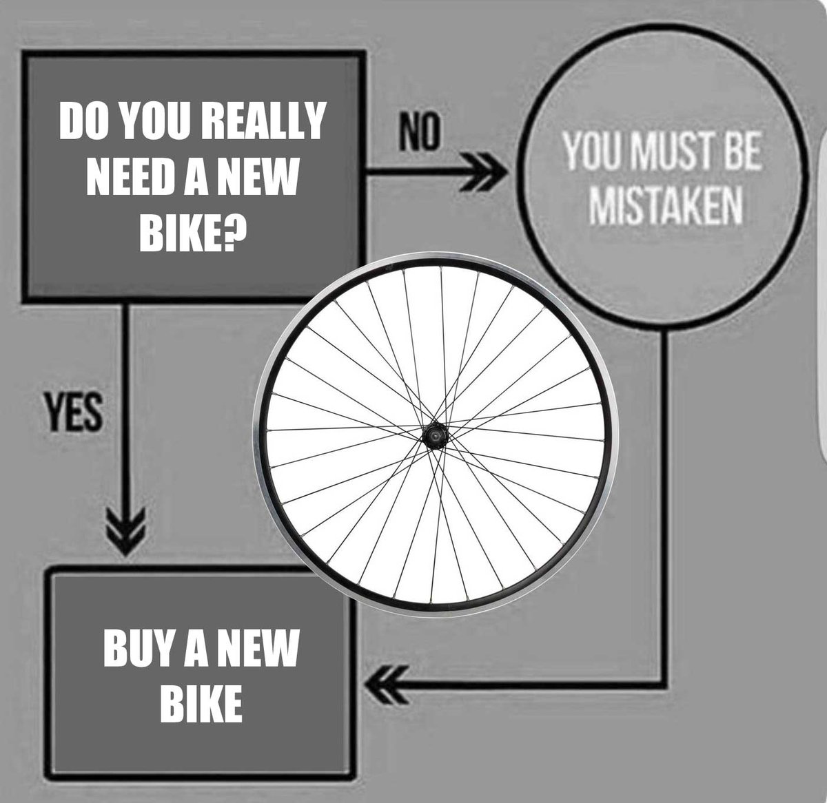 In case you were wondering...