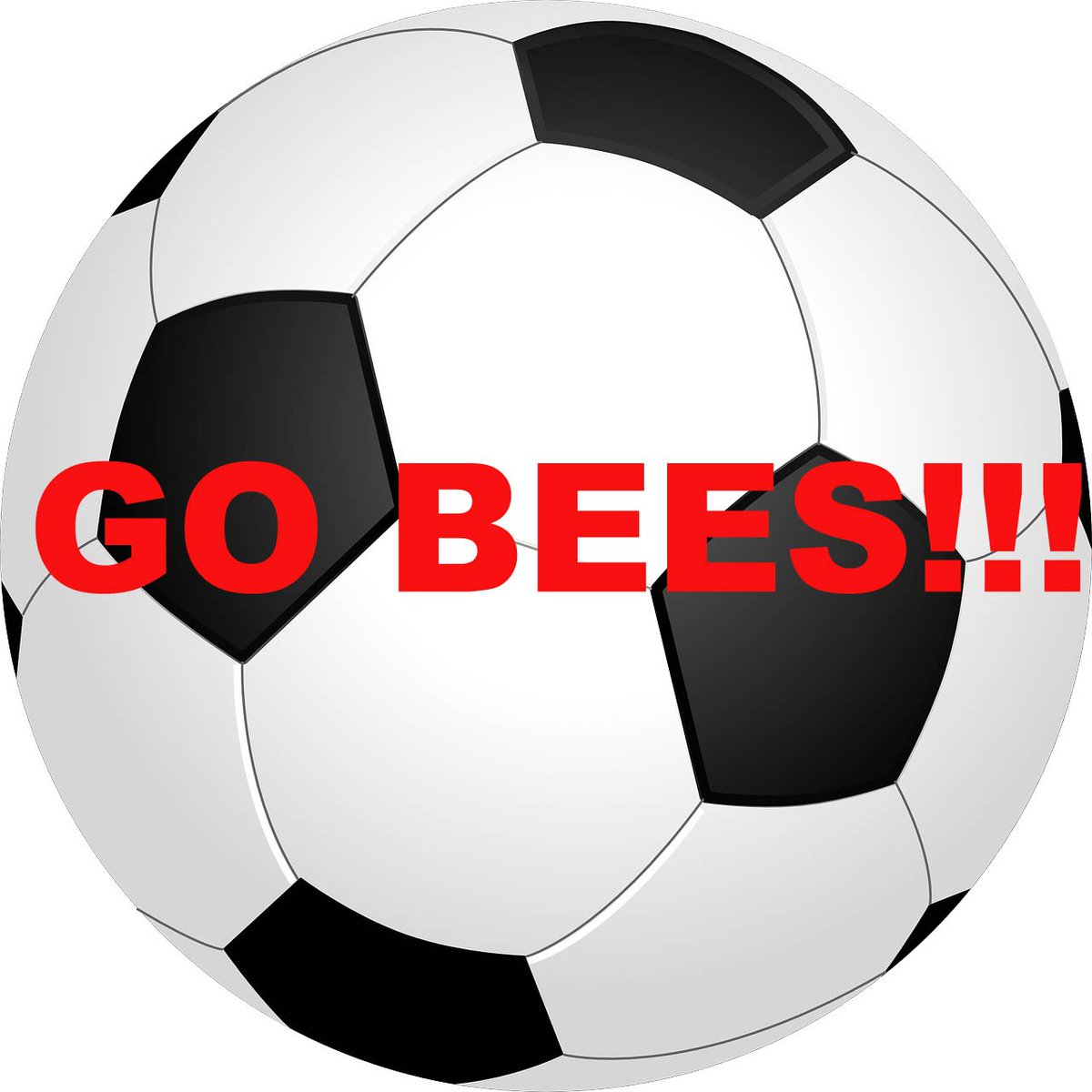BCSDBEES's tweet photo. Kathy Morse, girls varsity soccer coach, has been named Class AA Co-Coach of the Year! https://t.co/C2hN983V8c