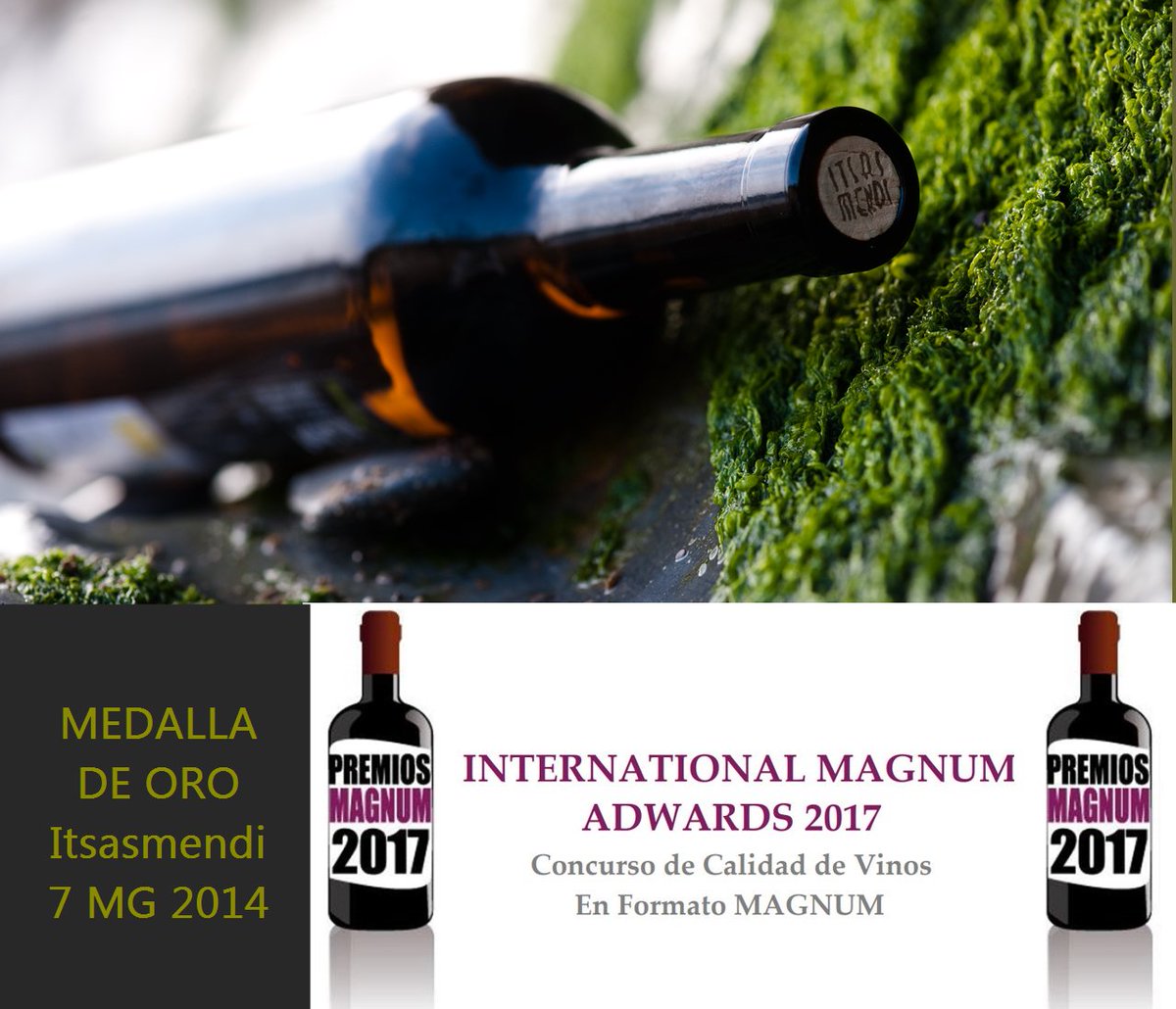Medalla de Oro para Itsasmendi 7 MG 2014 en la IX Edición de los Premios MAGNUM, concurso reconocido del Mundo que pone en valor este formato.