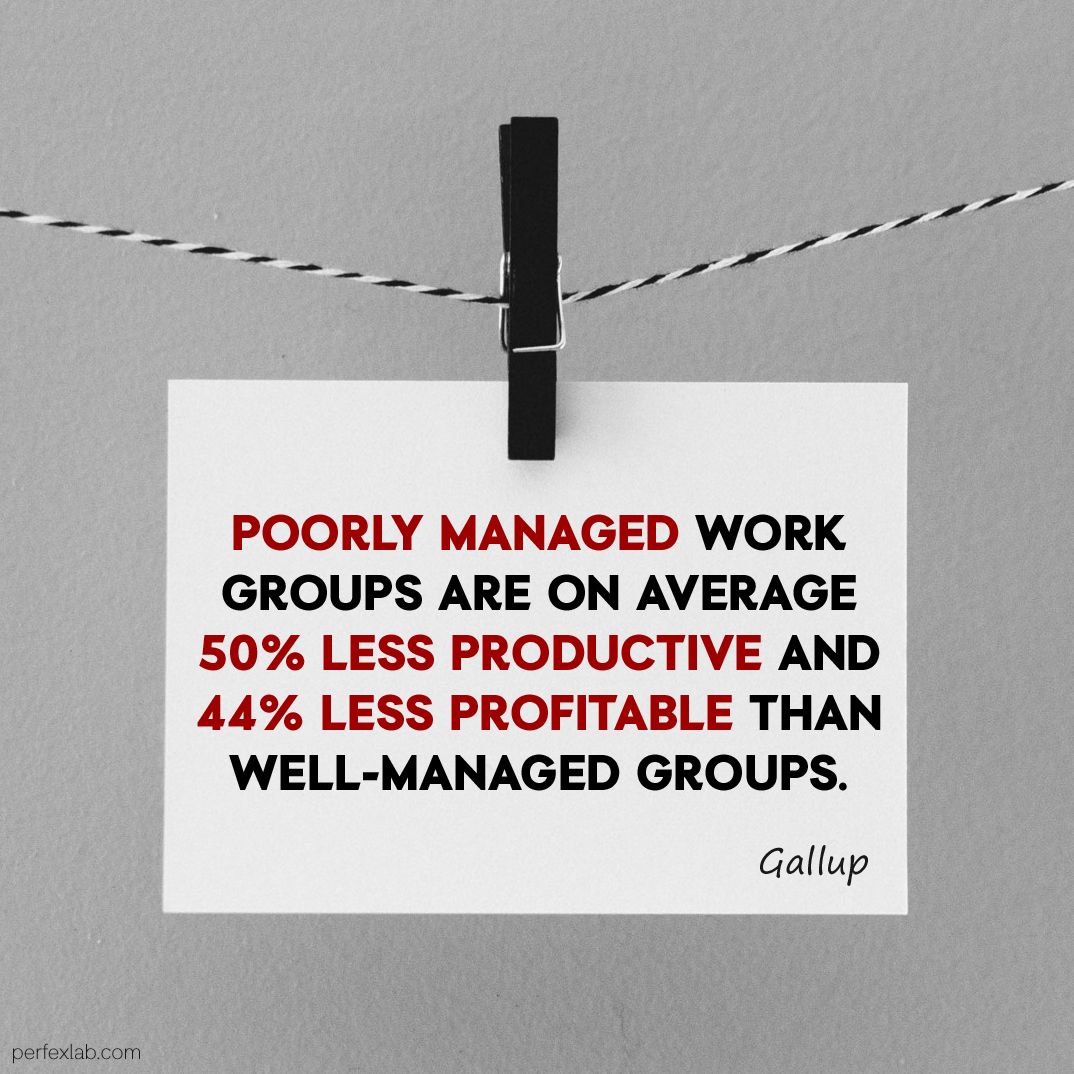 PerfexLab's tweet photo. #perfexlabFACTS
#management #profit #productivity
via @Gallup https://t.co/n9ZIj1dz5l