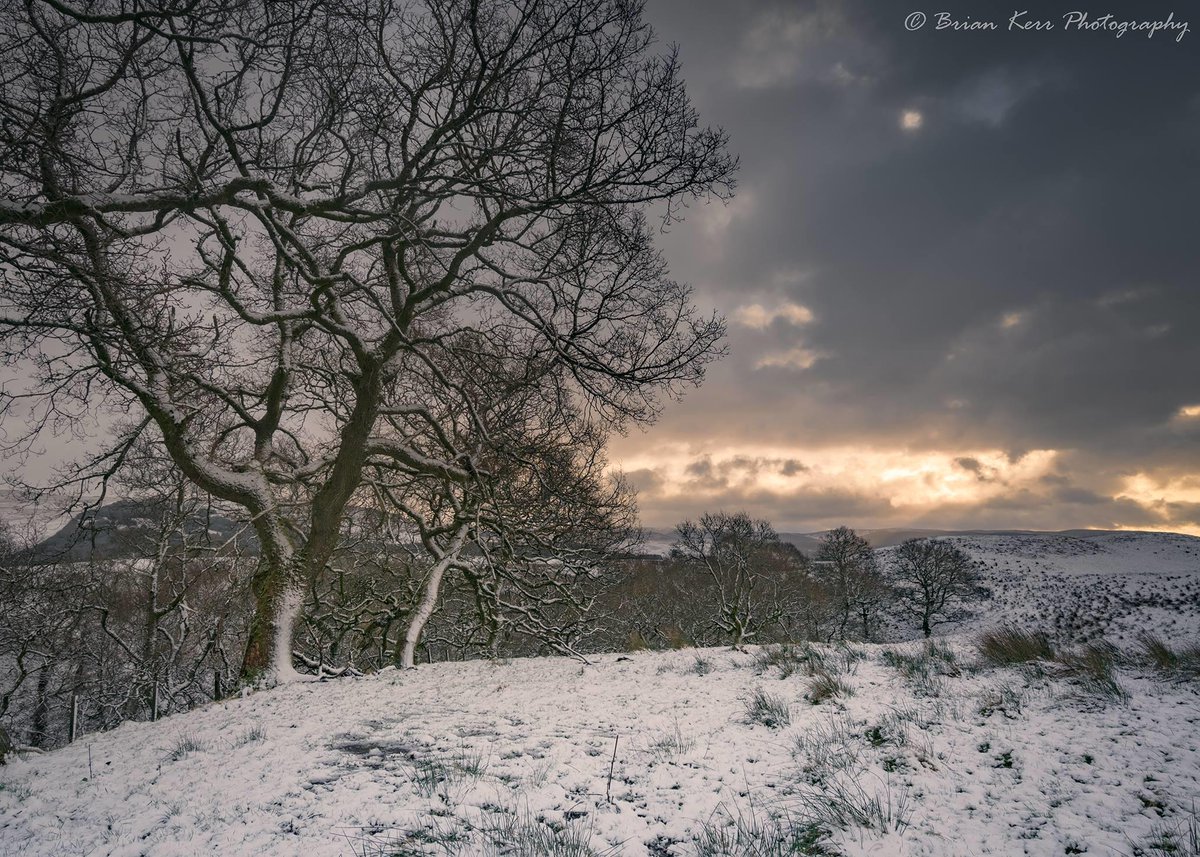 VisitScotland's tweet photo. Who's looking forward to more snowy scenes like this one in #Moffat? 🙋 ☃ 📷 FB/Brian Kerr Photography #LoveDandG #winter https://t.co/x3bh55BwjE