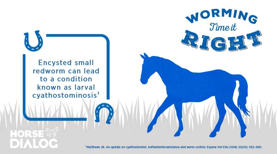 HorseHour's tweet image. Have you wormed for Small Encysted Redworm yet? Don’t forget to check!! #HorseHour #TimeItRight