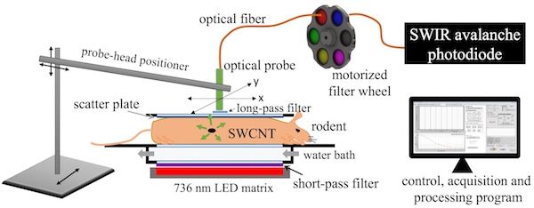 Technology in Cancer Research & Treatment journal tweet media