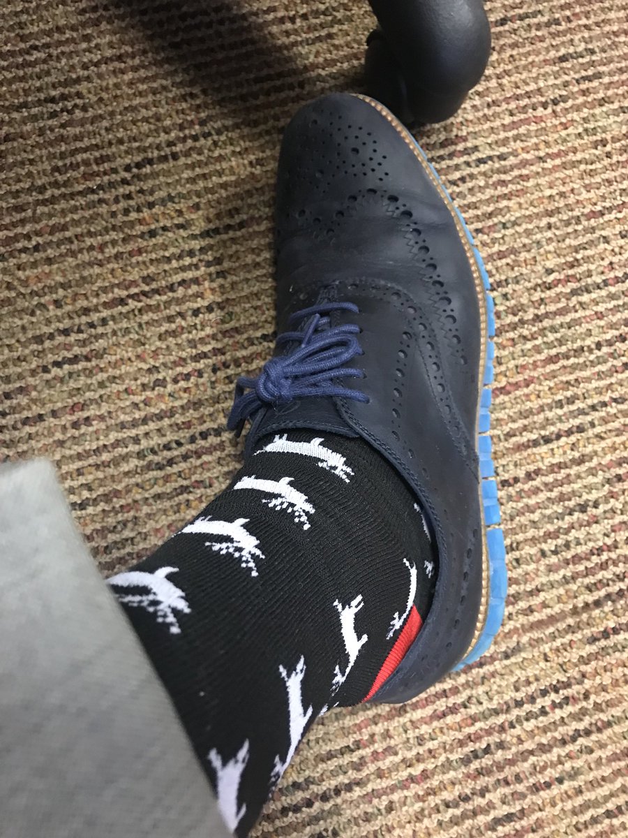GlennGRobbins's tweet photo. Deer Hunting Season in NJ - #Sockgame #suptchat https://t.co/34oZm7dFx0