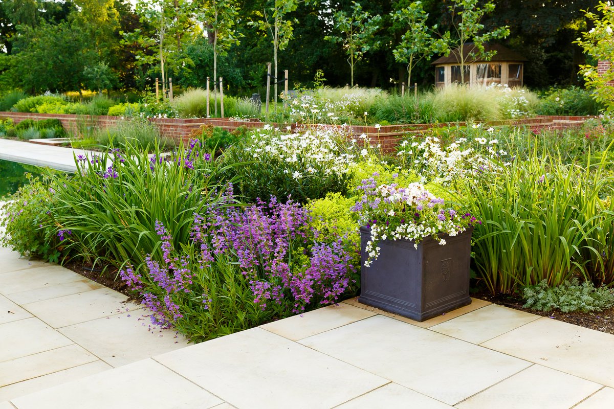 Anthea Harrison tweet media