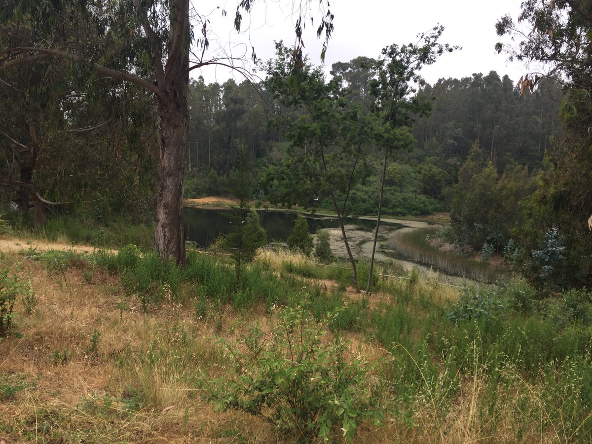 reddeemergencia's tweet photo. vía @RNEValparaiso Dir Nac Fonasa Dra. Jeanette Vega y alcalde @MunicipioValpo @JorgeSharp firman acuerdo para recuperar Parque #QuebradaVerde para uso público https://t.co/LW5L7JldsW #TodosSomosRNE
