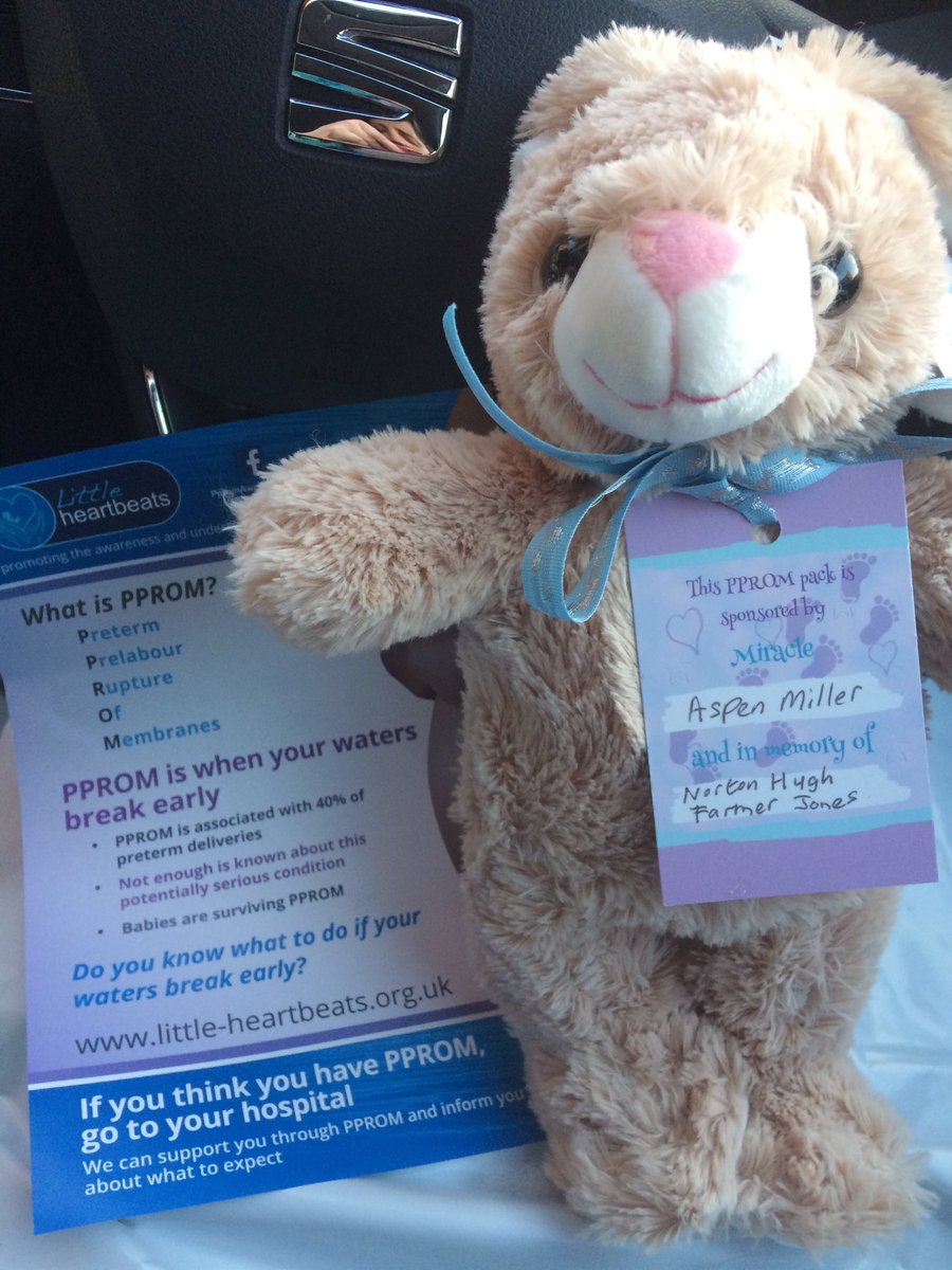 Little Heartbeats #PPROM support & awareness tweet media