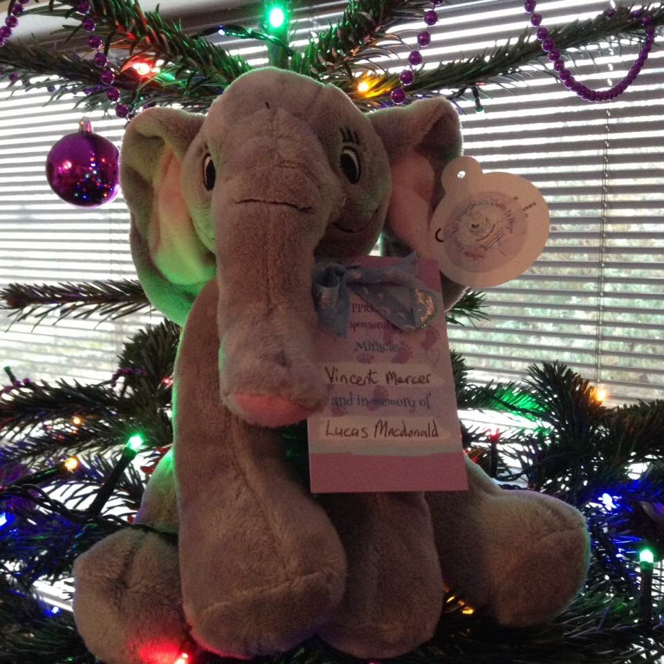 Little Heartbeats #PPROM support & awareness tweet media