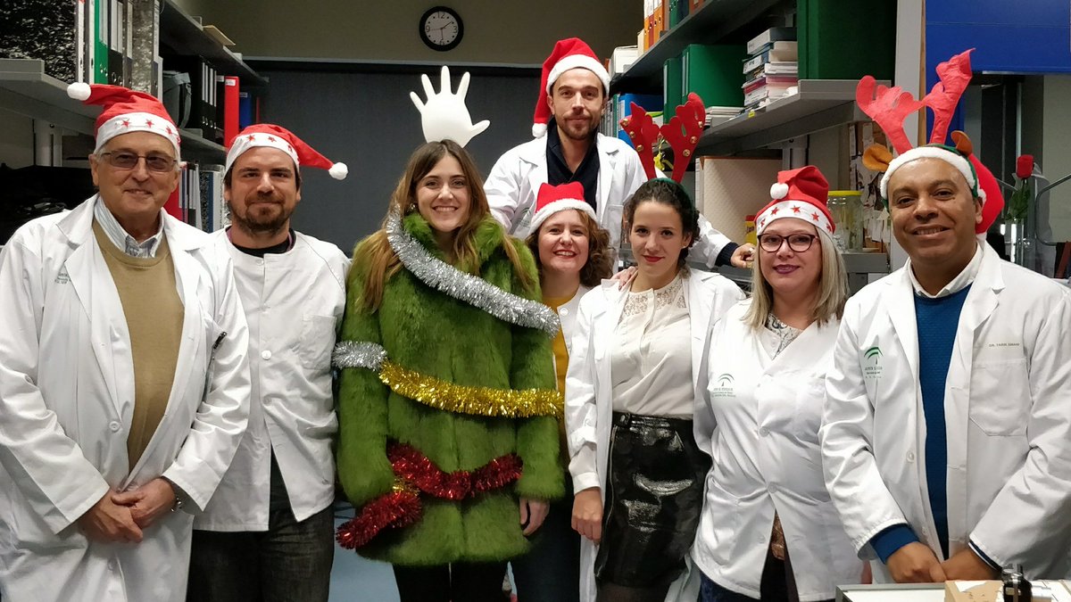 cardio_ciencia's tweet photo. Felices Fiestas! El laboratorio de Fisiopatología Cardiovascular del @ibis_sevilla os desea una Feliz Navidad! @CIBER_CV @TarikSmani @RdeltoroRaquel @EvaCalSan @IsaMagnesio @jjavivii @HvrSspa https://t.co/lnDev1adyl