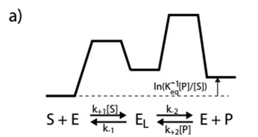 ecometric and dynamic modelling exemplified by caesium in lakes after chernobyl methodological aspects of establishing representative