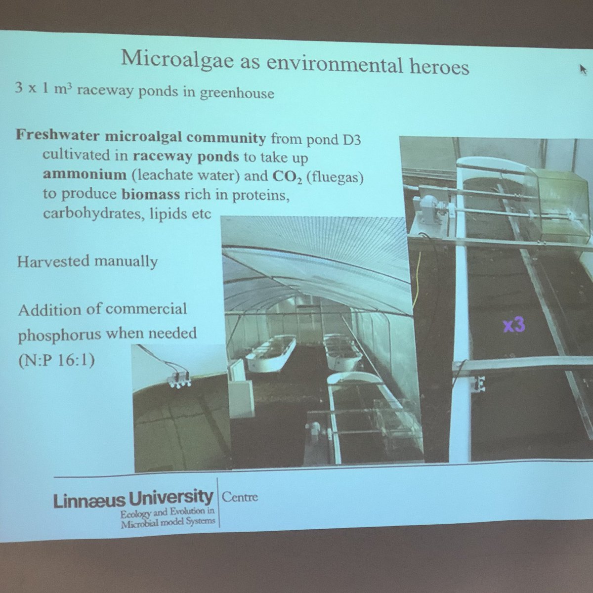 marine_eco_lnu's tweet photo. PhD student Lina Mattsson presents pilot project that investigates using algae to capture excess nutrients from leakage water at Moskogen landfill. Microalgae=environmental heroes! #algoland #ksrr @kalmarenergi @LegrandCath https://t.co/sASqJHPvpw
