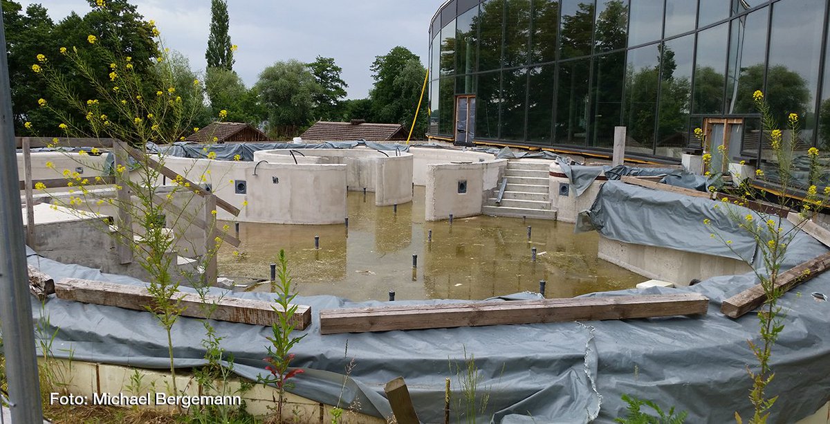 MiBergemann's tweet photo. #BER2 in #Brandenburg // @PNN_de schreibt mal wieder über die teure #SchrottBaustelle #BlütenTherme in #Werder (Havel) // Fertigstellung weiter ungewiss // https://t.co/IGRY1qgFje https://t.co/QvoMMeIeTR