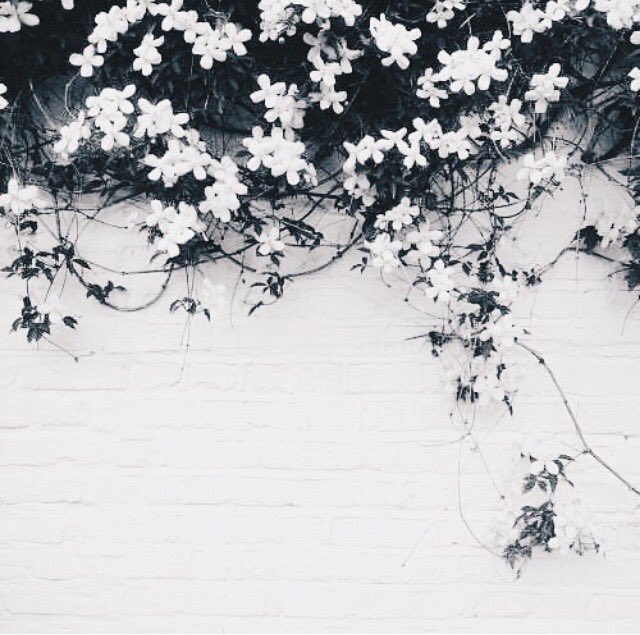 Don't trap your self assuming those you've supported will support you .