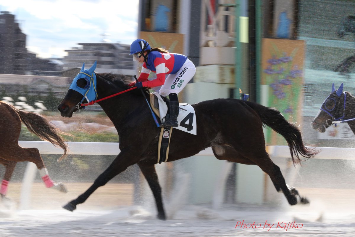 Kajiko בטוויטר 12月1日名古屋 名古屋競馬場所属の女性 騎手と言えば 木之前葵騎手 ハートの勝負服がとてもキュートで似合ってる 彼女のホームで騎乗を見るのは実は初めてで感無量でした