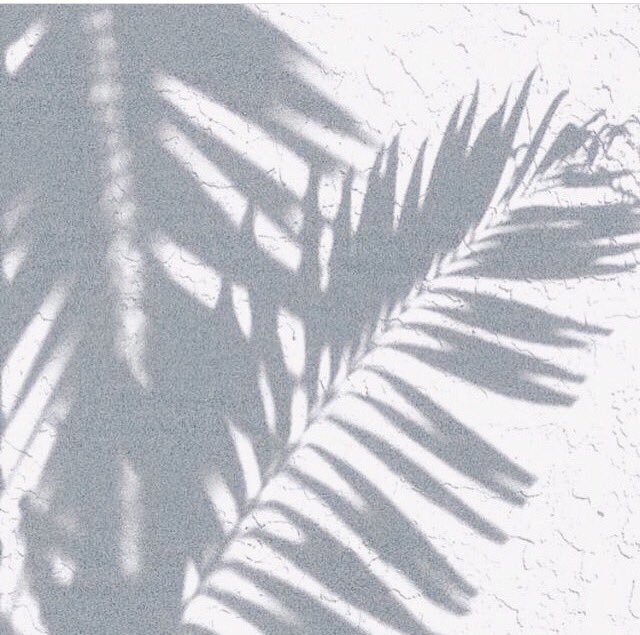 Just wake up and turn up 
No matter how late you are 
The kind of feels that day 
Just do what you gat to do .
#women #feminist #Feminism