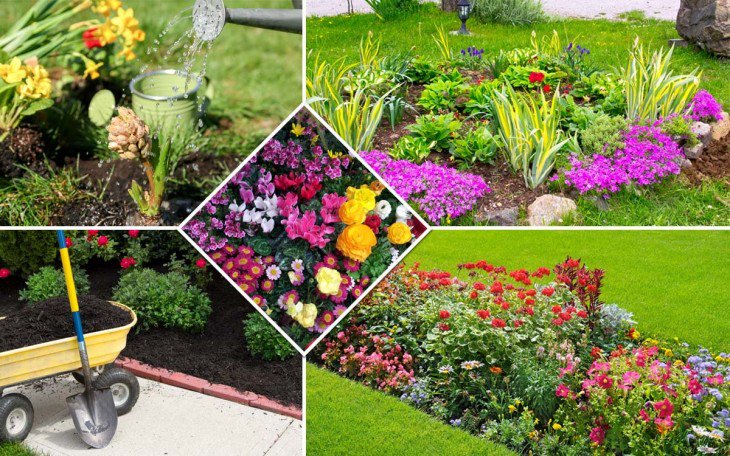 romashkino_park's tweet image. Календарь цветения многолетних и однолетних цветов.
#ромашкинопарк #садовыйцентр #интернетмагазин #чехов #москва #цветы #саженцы #растения