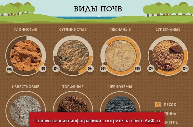 Грунт супесь. Суглинок бурый иловатый. Глинистый тип почвы. Глинистый тип почвы. Песчаные почвы суглинистые глинистые.