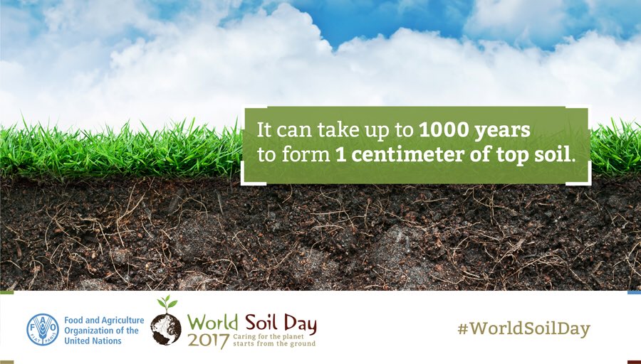 Soil is a non-renewable resource. Preserving it is essential for food security and our sustainable future.
 
#ZeroHunger #WorldSoilDay