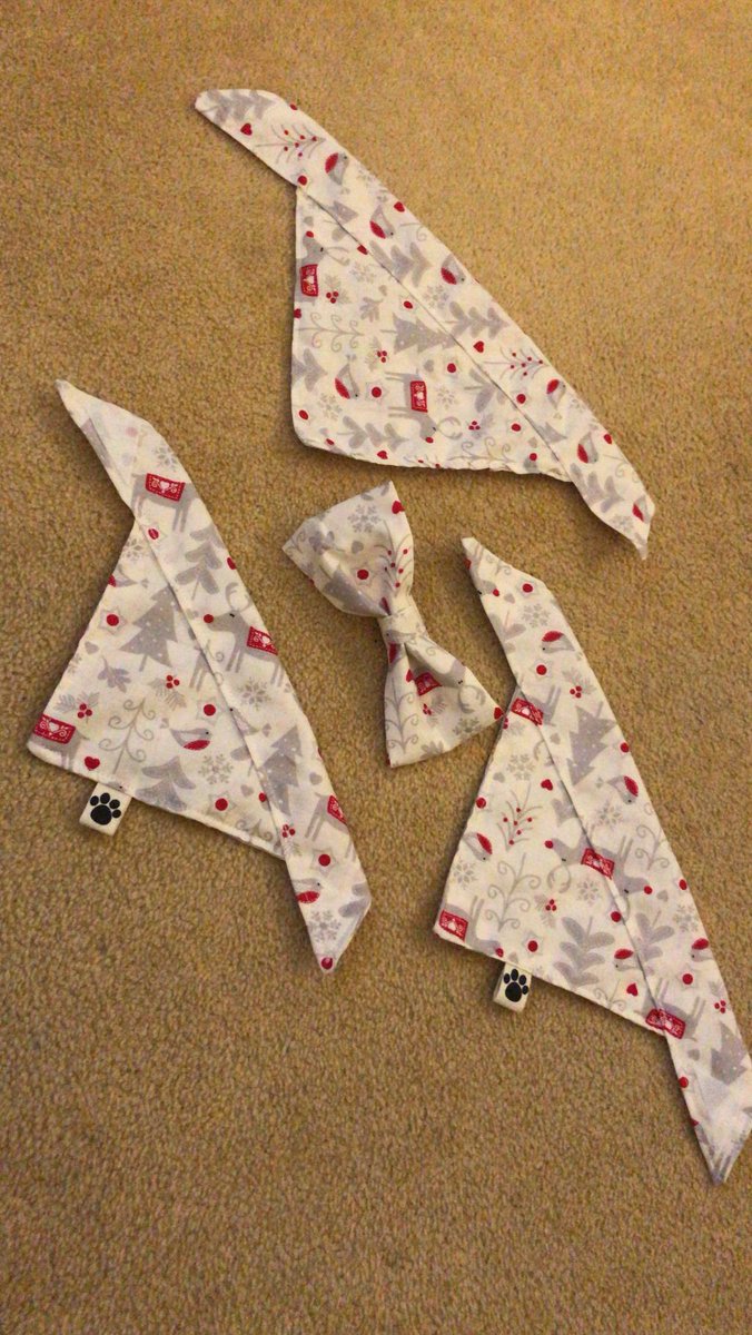 SassyPawsUK's tweet photo. Another order ready to get shipped off to some beautiful pooches! https://t.co/Er26QRi2dm