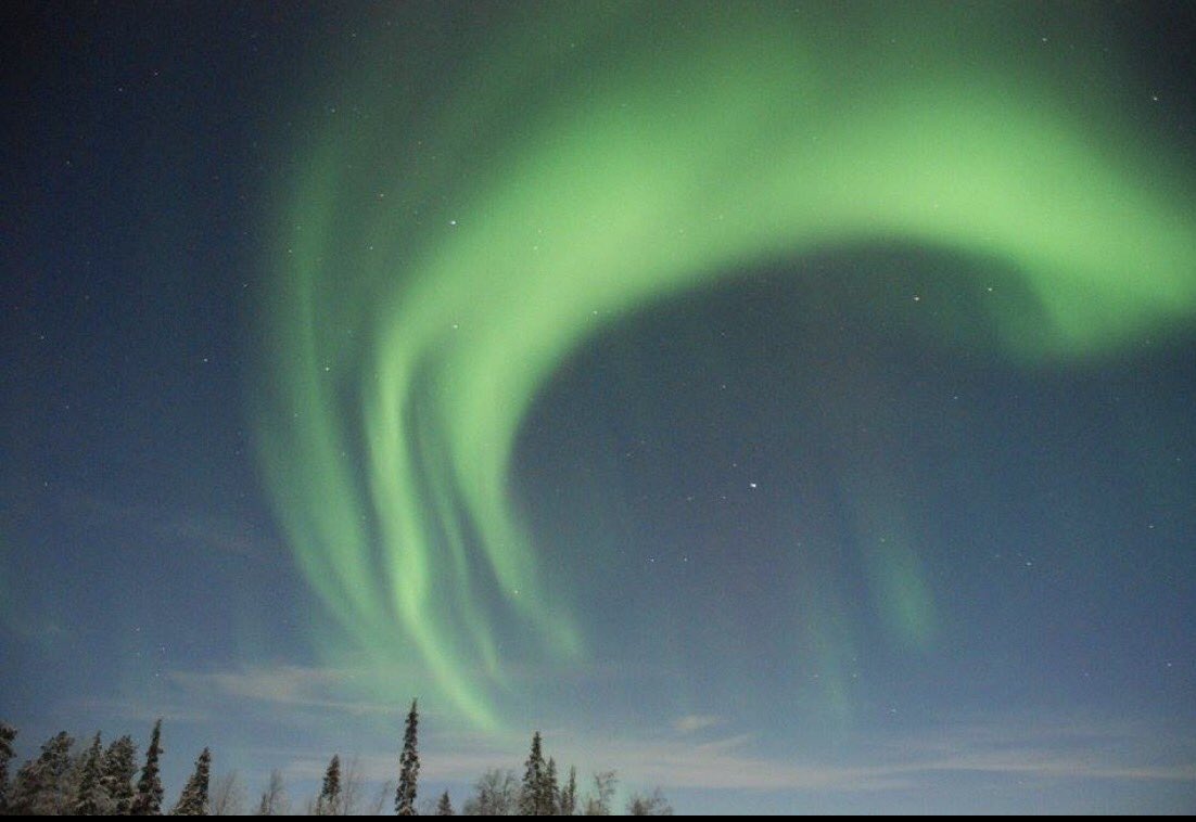 RhiannonJenki's tweet photo. Northern lights 💫
#lapland #LightsOn https://t.co/tJNlk9ExJJ